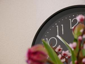 Ferienhaus Dorfleben