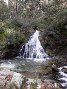 Las cabañas de valsain