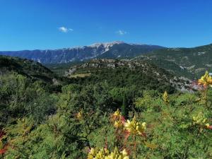 Maisons de vacances Les Villas Dorees - Villa Soleil face au Mont Ventoux : photos des chambres