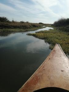 Campings Mobilhome Oleron simple et spacieux a 1min de l'Ocean : photos des chambres