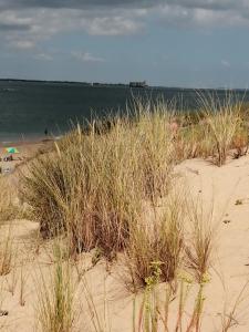 Campings Mobilhome Oleron simple et spacieux a 1min de l'Ocean : photos des chambres