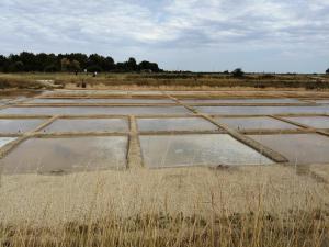 Campings Mobilhome Oleron simple et spacieux a 1min de l'Ocean : photos des chambres