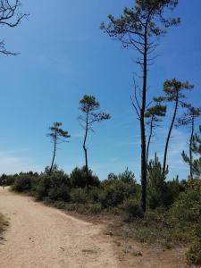 Campings Mobilhome Oleron simple et spacieux a 1min de l'Ocean : photos des chambres