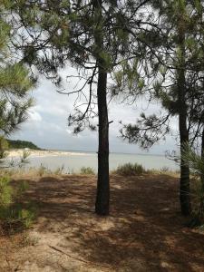 Campings Mobilhome Oleron simple et spacieux a 1min de l'Ocean : photos des chambres