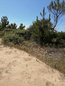 Campings Mobilhome Oleron simple et spacieux a 1min de l'Ocean : photos des chambres