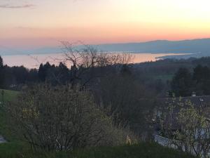 Petite maison à lorée des bois vue sur le lac calme et zénitude