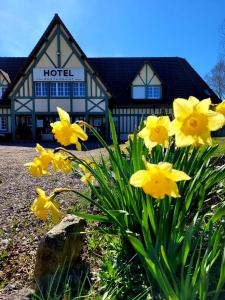 Hotels LA GRANDE BRUYERE : photos des chambres