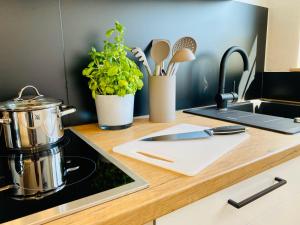 Ferien-Apartment Riedperle mit Privatstrandzugang