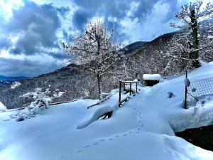 B&B La Presa
