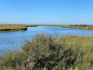 Herdade dos Salgados do Fialho