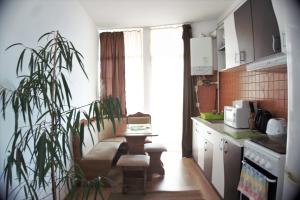 Observator Terrace Apartment