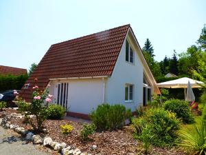 Accommodation in Daumazan-sur-Arize