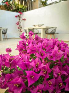 DS Traditional Villas Santorini Island Santorini Greece