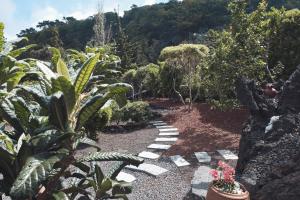 Baía de Canas Villa