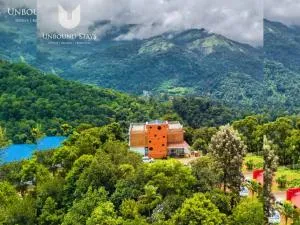 Palmtree Leaf, Munnar - Anachal