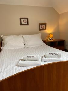 Deluxe Double Room with Shower room in Hotel Marand