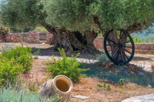Blue Horizon Cottages