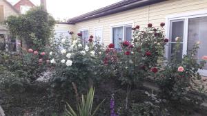 Уютные апартаменты - Керчь