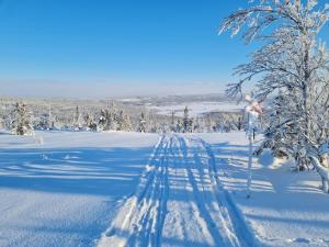 Medstugans Vandrarhem