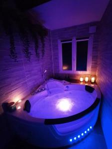 A lOrée des pins - Gite et spa de 30 m2- Options Home Cinéma, Romantique