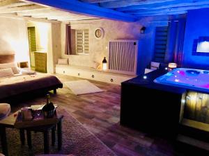 Hotels Domaine de Vandenesse & Spa : Suite avec Jacuzzi