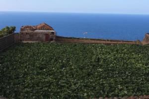 Cosy chalet with panoramic views in Icod de los Vinos - 70m²