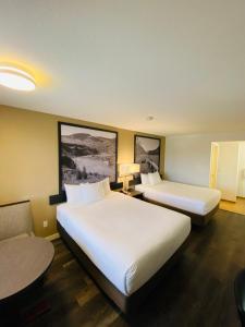 Deluxe Queen Studio with Two Queen Beds - Non-Smoking room in Super 8 by Wyndham 100 Mile House