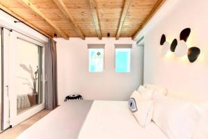 Blue Orchid Villa Mykonos Myconos Greece