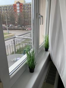 Hajdúszoboszló Toscana Panoráma