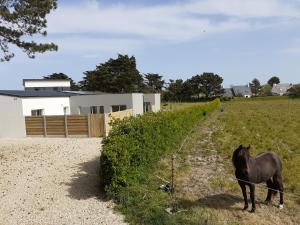 Maisons de vacances Villa le Nid Des Dunes & Spa 2 gites ecologiques : photos des chambres