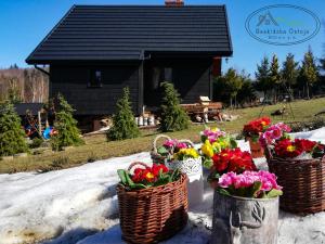 Beskidzka Ostoja