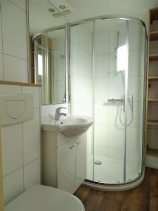 Luxe chalet 5