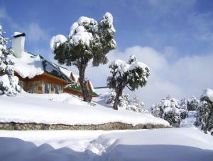 Hosteria Al Paraiso