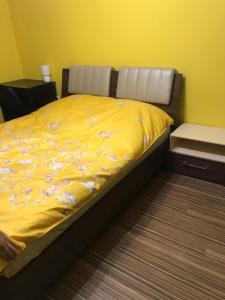 Cozy Park Studio in city center, Campina