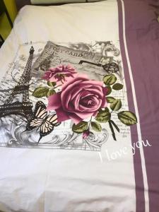 Cozy Park Studio in city center, Campina