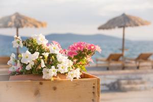Ktima Develekou Argolida Greece