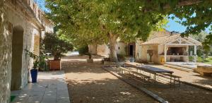 MAS TAREAU LE DAMIER