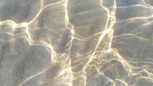 B&B Il Gatto Pescatore img29