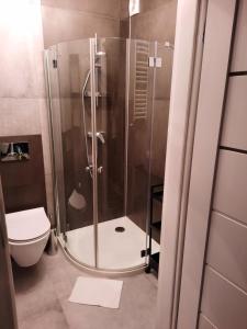 Kryształ A10, Garaż