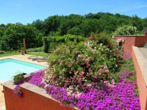 B&B / Chambres d'hotes Domaine Les Causeries : photos des chambres