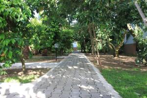 Yildiz Pension Bungalows