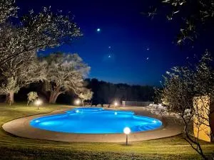 Punta D'Acu Country Resort - 圣安托尼奥迪加卢拉