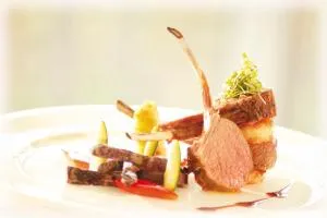 Hotel Stefanshof - Plaus