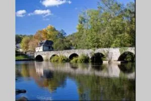 LES HORTENSIAS Spacieuse Maison en ardoise du pays FIBRE - Allassac
