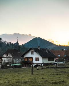 Lodges Bleu Minuit L'Arche : photos des chambres