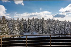 SILVER MOUNTAIN - ANAS Apartments