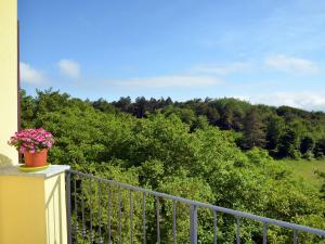 Apartment Faggio - SBO101 by Interhome