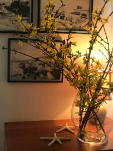 Apartman Igalo Centar