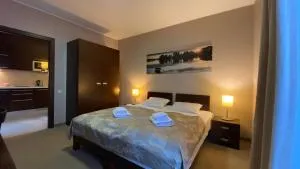 Willa Port Apartament - Ostróda