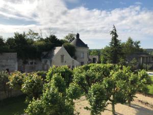 Maisons de vacances Cottage de la Tour - Duplex troglodyte of 100 m² : photos des chambres